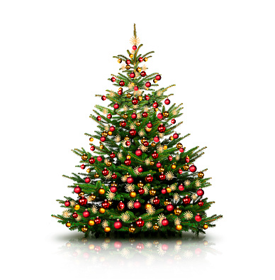 Fresh Cut Premium Grade Fraser Fir Christmas Tree